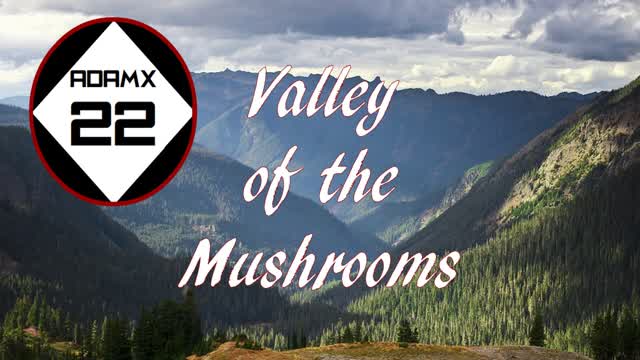 Mario Construct Level | Valley of the Mushrooms