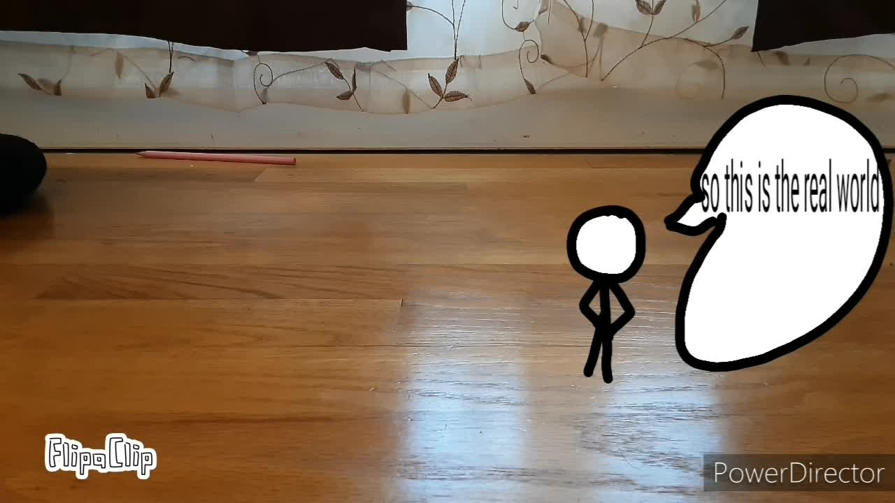 First Animation