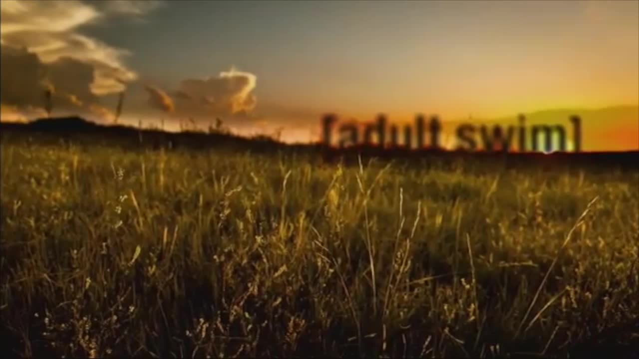 Adult Swim Sign On