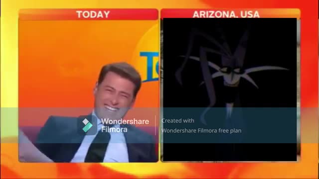 Look at that Cat! (Doll Eye Meme)