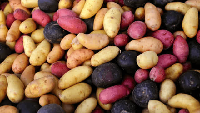 potato