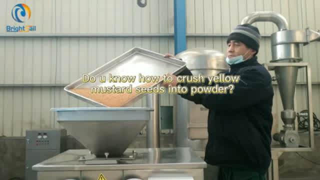 Do u know how to crush  mustard seeds into powder ?#MustardSeedsPowderMill