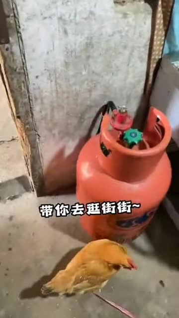 average china woman #minis