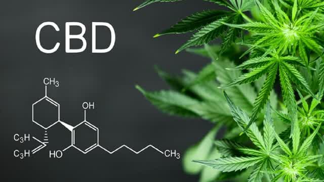 Wanna Buy Some CBD Products?
