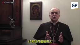 维加诺大主教呼吁建立反全球主义联盟