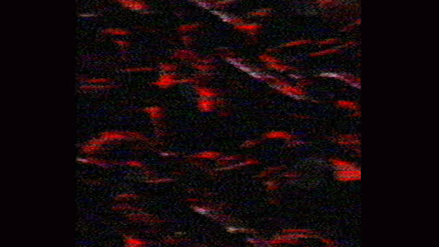 βꝈØØᎠӋ ↻ǶȺįហⱿ ₱ⱤØĐ. VɆⱠVɆ₮₮ (Visualizer)