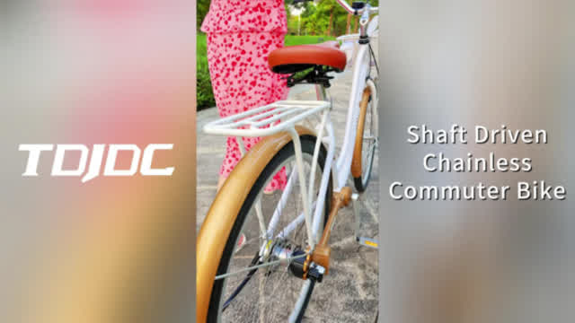 No Chain City Bike Shaft Driven