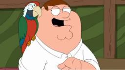 Family Guy - Peters Parrot