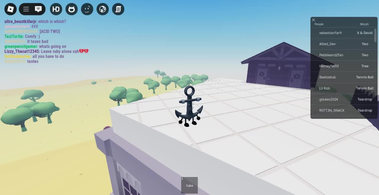 Roblox-2025-06-04T17_56_42.331Z