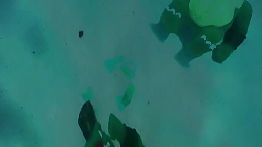 K ROOL DROWNING