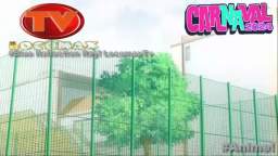 LocomaxTv Bolivia Anime Febrero 2024 LocomaxTv Bolivia Anime Febrero 2024