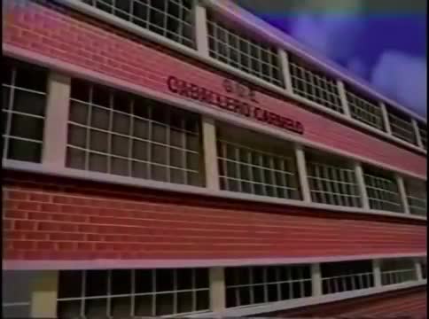 Asociación peruana de avicultura - Perú - Pollitos 1996