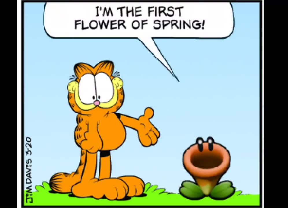 Garfield meets a Talking Flower (AI Dub)