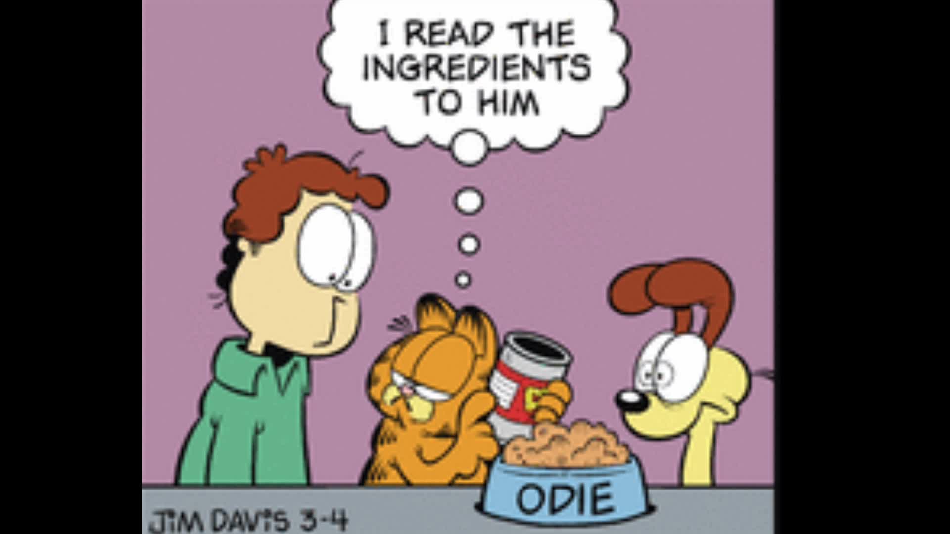 2026/03/04 Garfield Comic Dub