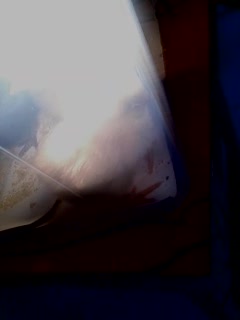 Awww 4 baby chicks burning alive :)