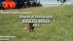 LocomaxTv Anime 2020