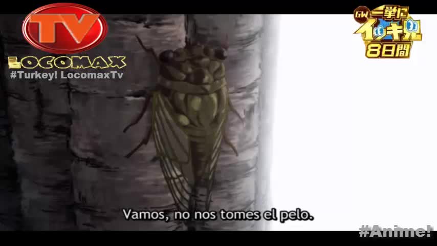 LocomaxTv Bolivia Anime Abril 2026