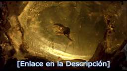 Descargar Jurassic Park 1993 Latino HD