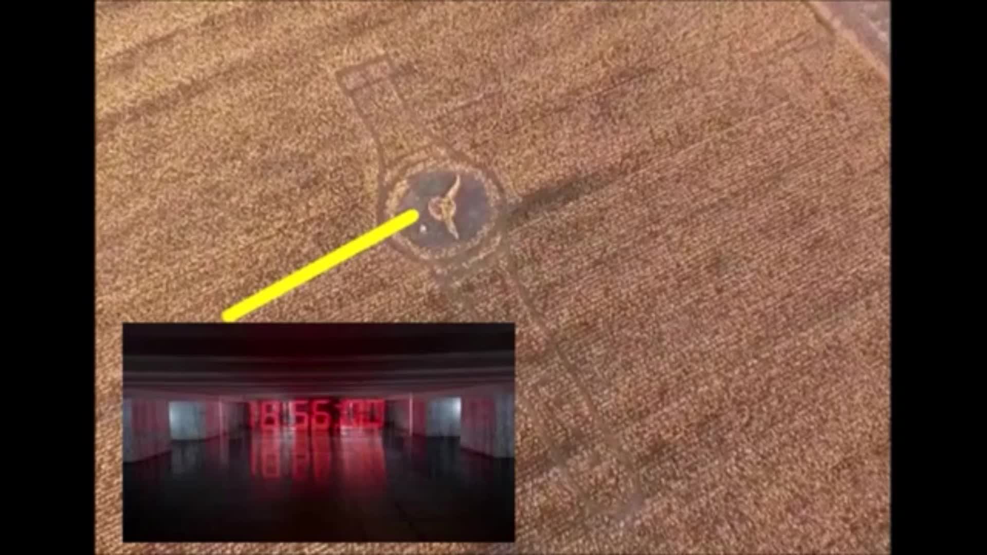Crop circle 2024 en Hampshire que nos quieren decir 3/2