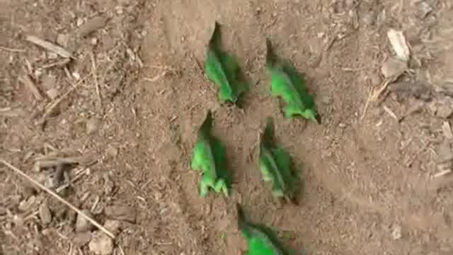 PREHISTORIC- Episode 1