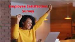 Employee Satisfaction Survey : DecisionWise