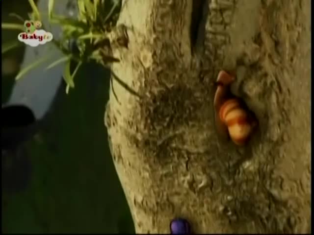 Mr. Snail - Centipede