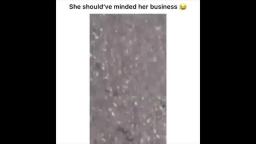 Try Not To Laugh Hood Vines Compilation 2019 Part 2