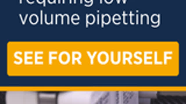 Pokémon Pure Blue LP #13