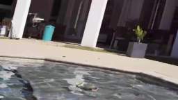 Cuphead and Mugmans Reaction to Nikocado Avocado Pushed In The Pool By Oompaville