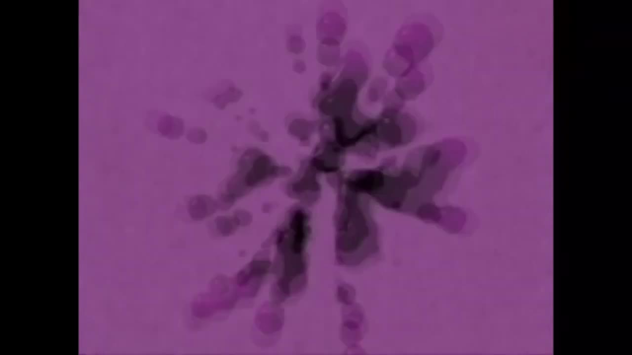 My Edited Video