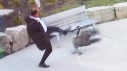 Man Attacked By Goose (almost dies)
