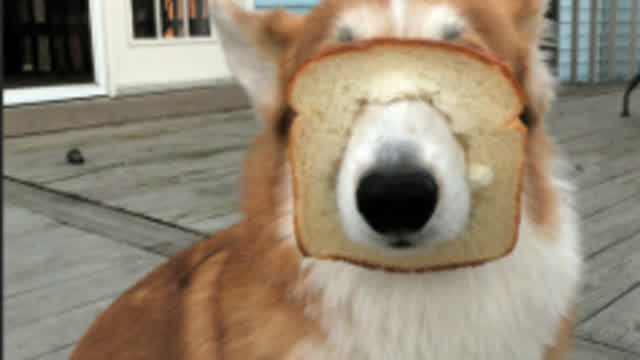 My first video