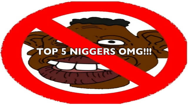 TOP 5 NIGGERS