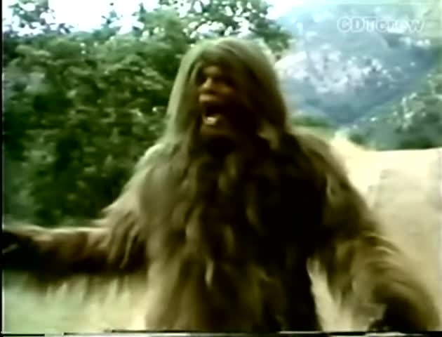BIGFOOT
