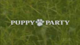 PUPPY PARTY DVD TRAILER