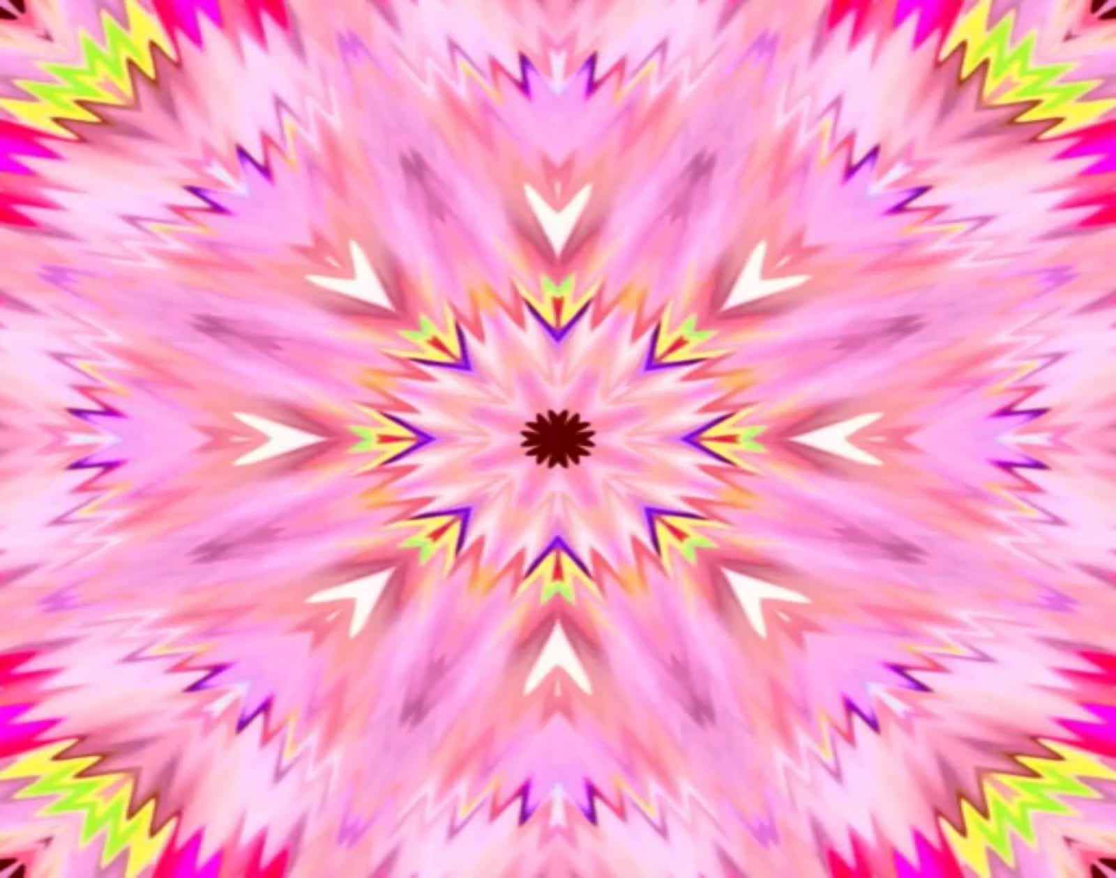 1691 1691