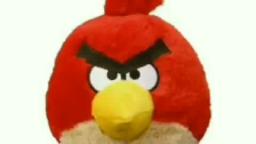 angry birds