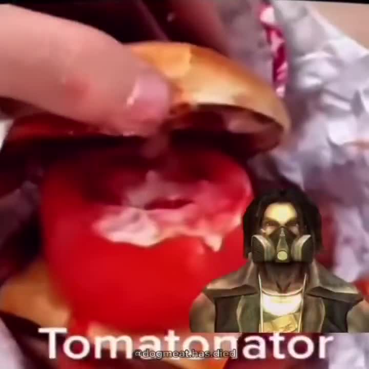 fallout mcpickle pounder