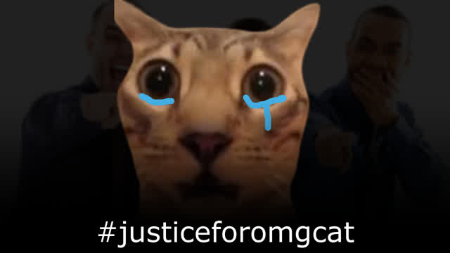 #justiceforomgcat