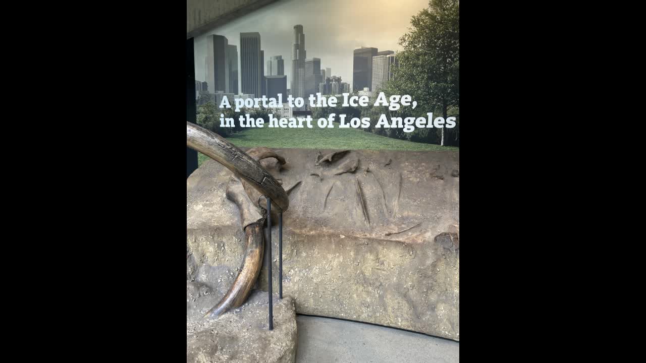 Pictures from my visit to the La Brea Tar Pits