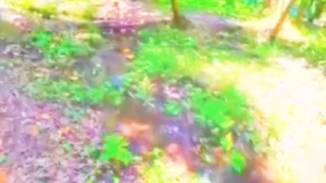 (My...last...niga69👣👣👣niganigavideos69😻😻..majo..majo.. (My...last...niga69👣👣👣niganigavideos69😻😻..majo..majo..