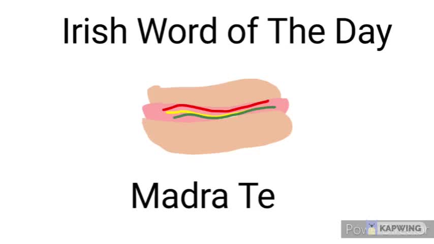 IRISH 101: HOT DOG (FT. KOOKY THE MINK)