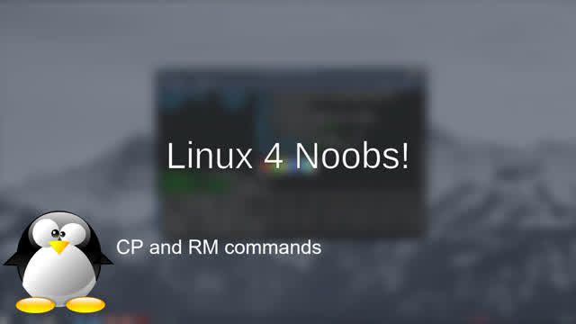 Linux 4 Noobs cp and rm commands