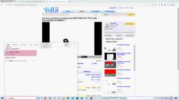 2 glitches on vidlii