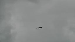 00418 Stunt planes At Clacton On Sea Essex Air Show display 2018 event unedited video