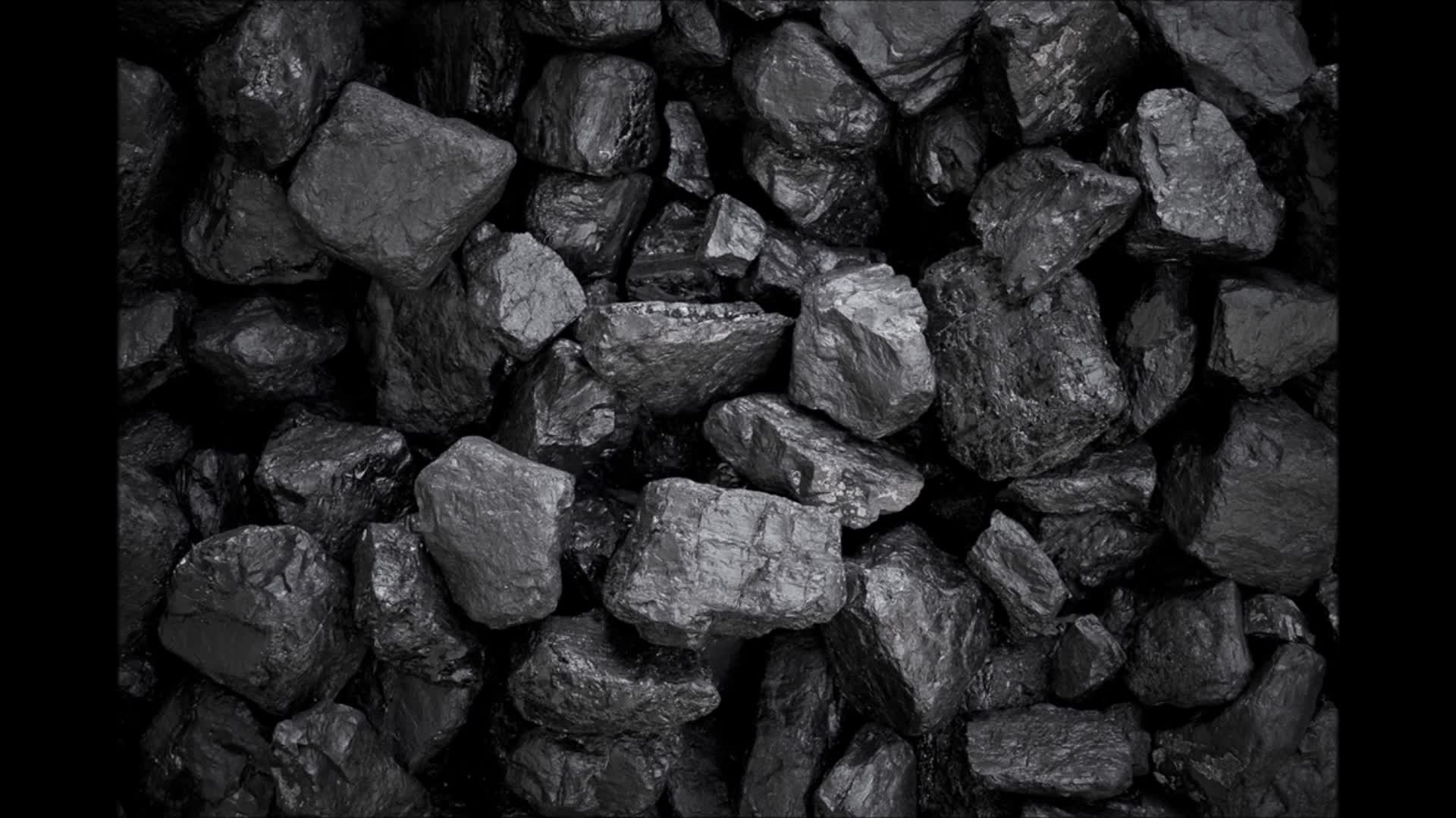 Blueno's christmas gift