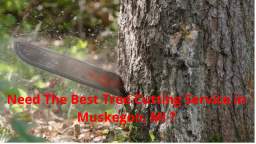 Vanderkooi Tree Cutting Service in Muskegon, MI