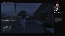 GTA 5 Rampage Blaine County Motel