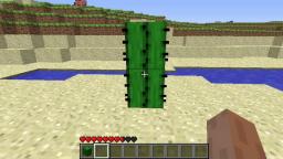 Minecraft Beta 1.0 Cactus Death