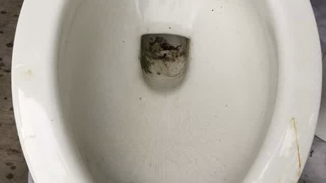 1968 Crane Santon! @ NBHS Nurse’s Restroom in New Braunfels, Texas